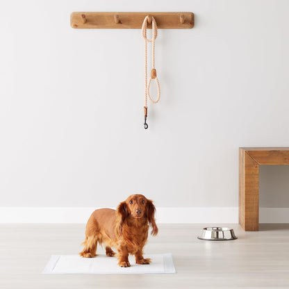 All-Day Protection 5-Layer Leak-Proof Pet Training Pads